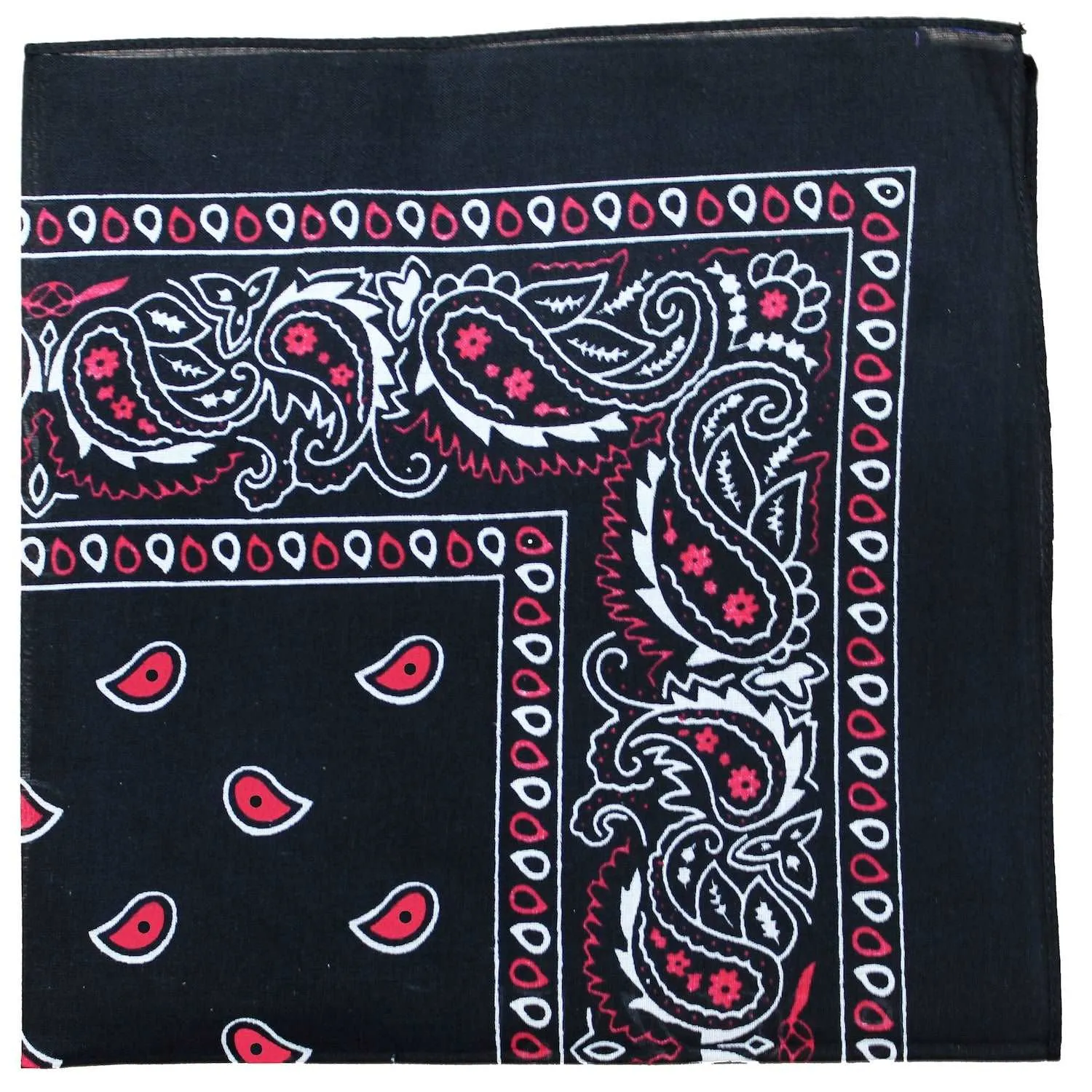 18 Pack 22 Inch Regular Size Polyester Paisley Bandanas