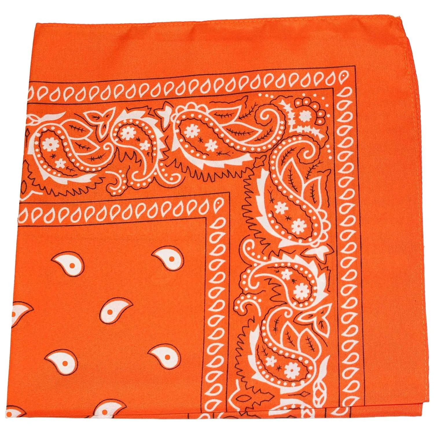 18 Pack 22 Inch Regular Size Polyester Paisley Bandanas