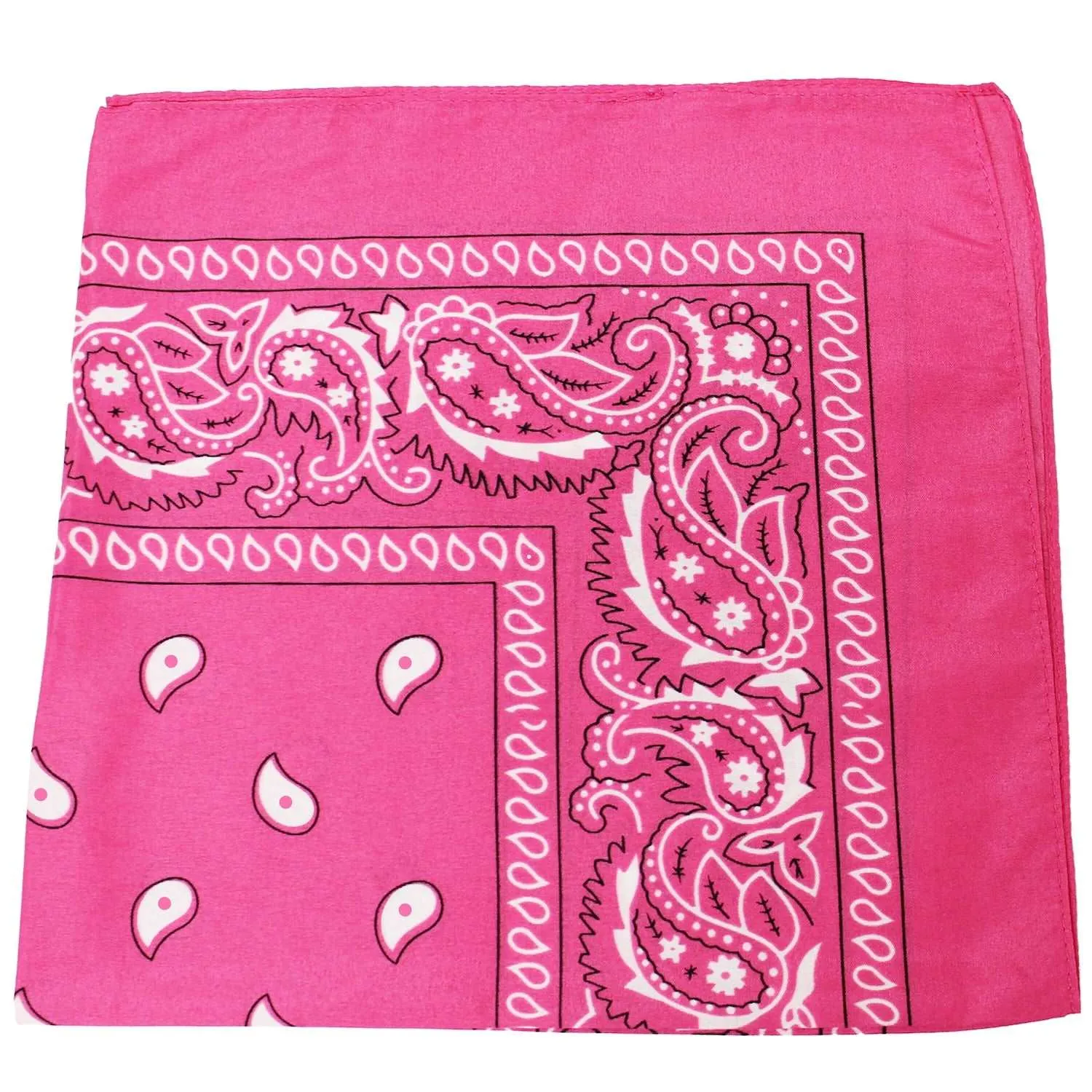 18 Pack 22 Inch Regular Size Polyester Paisley Bandanas