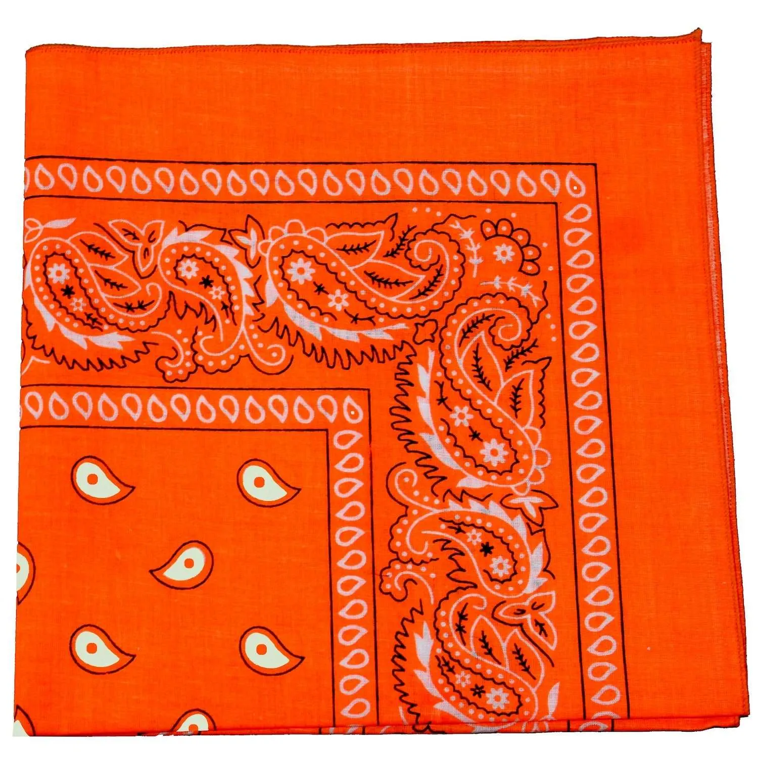 18 Pack 22 Inch Regular Size Polyester Paisley Bandanas