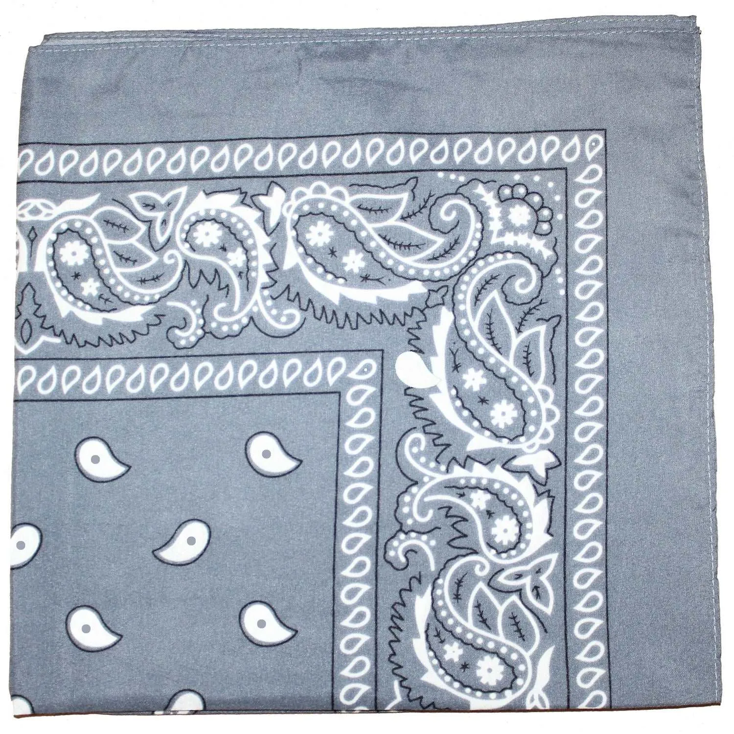 18 Pack 22 Inch Regular Size Polyester Paisley Bandanas