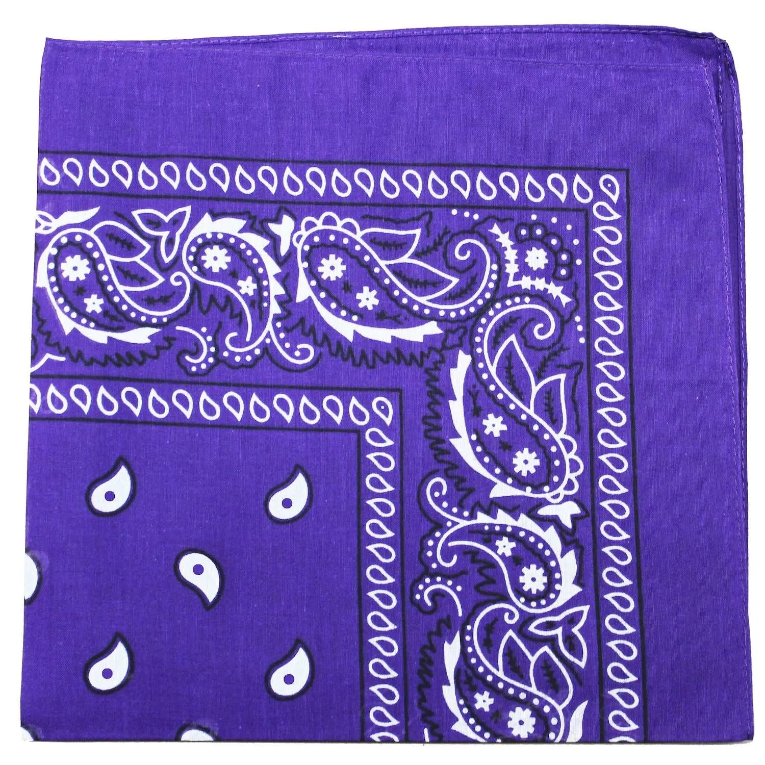 18 Pack 22 Inch Regular Size Polyester Paisley Bandanas