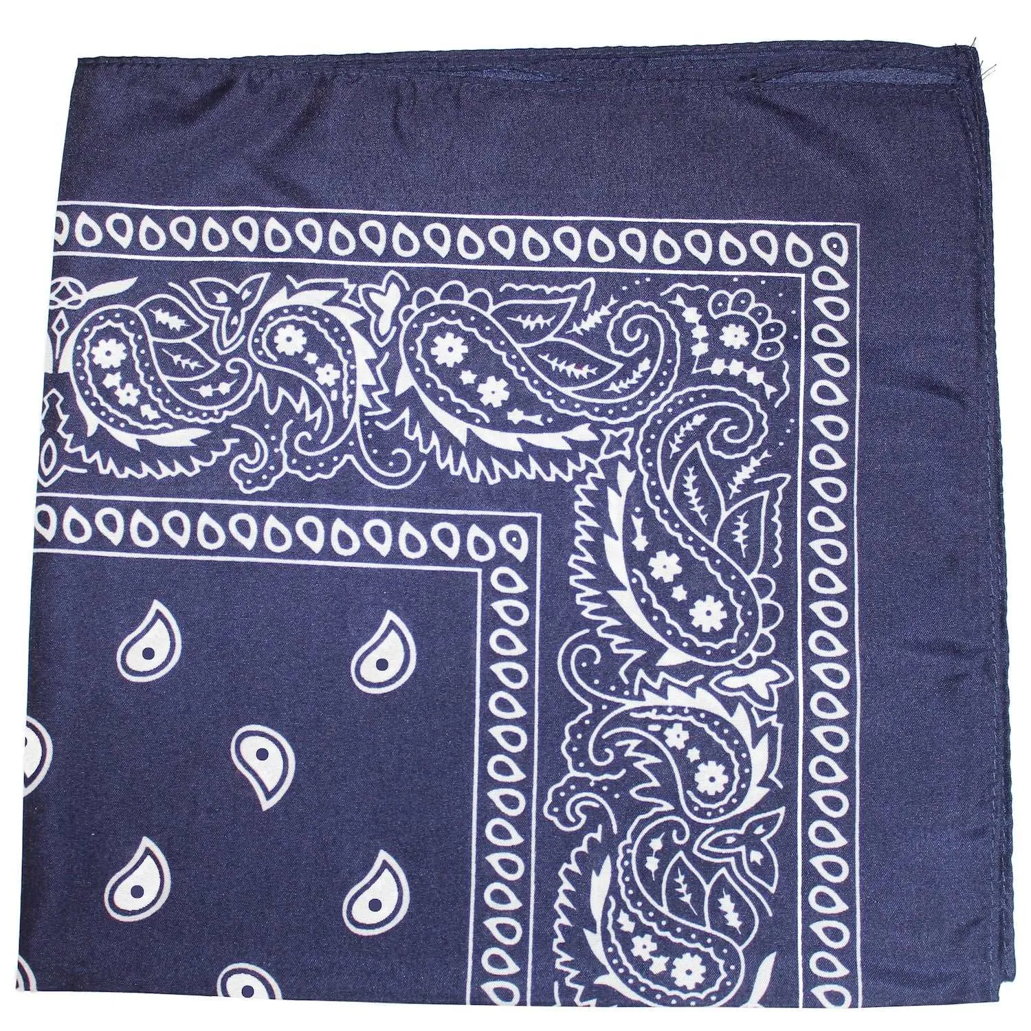 18 Pack 22 Inch Regular Size Polyester Paisley Bandanas