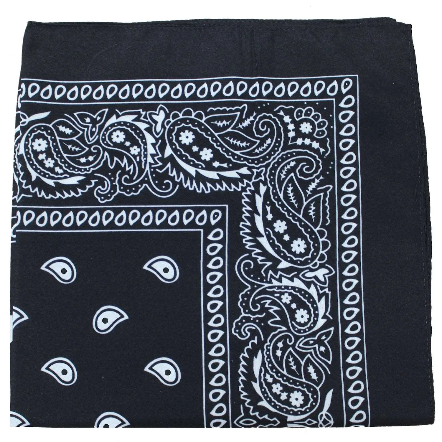 18 Pack 22 Inch Regular Size Polyester Paisley Bandanas