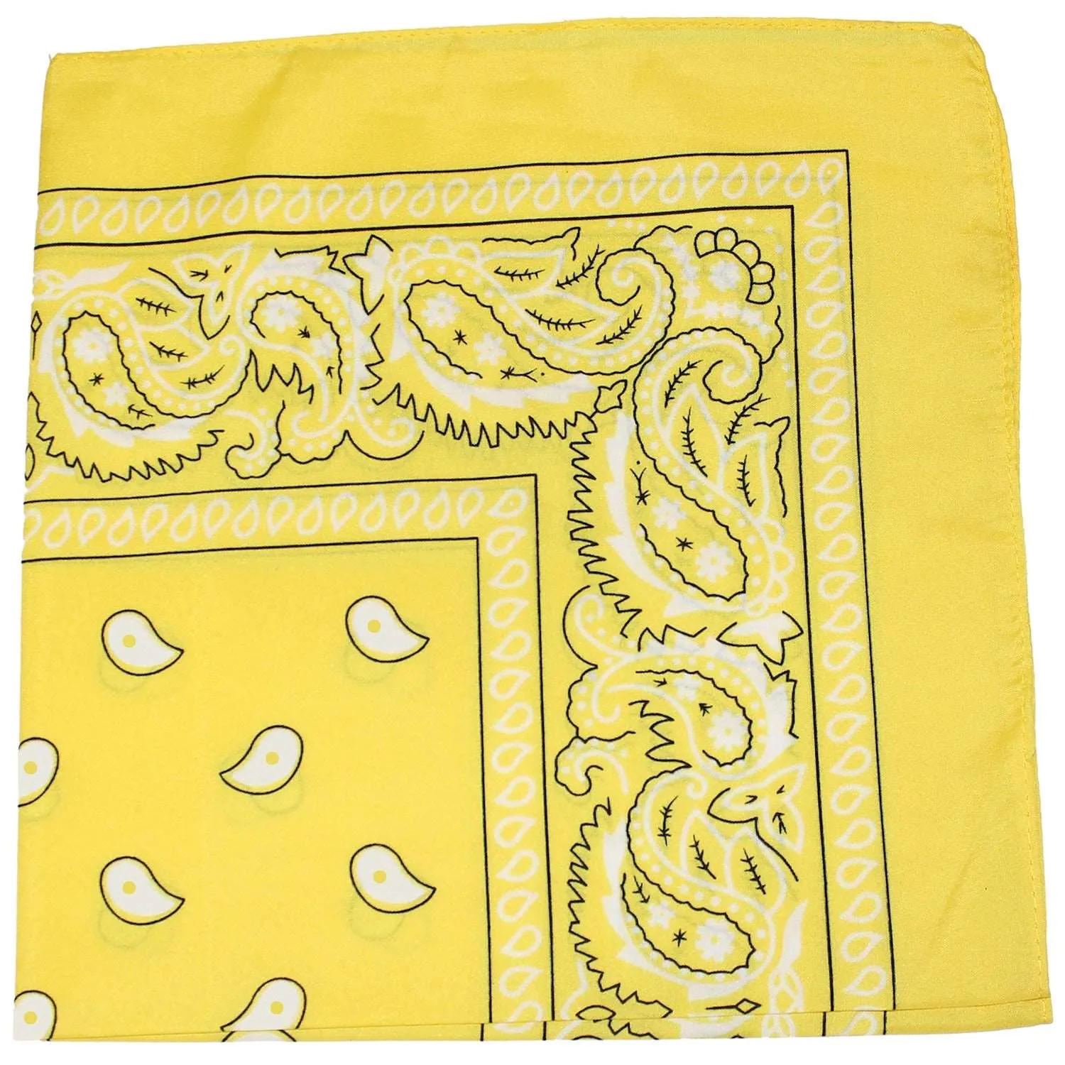 18 Pack 22 Inch Regular Size Polyester Paisley Bandanas