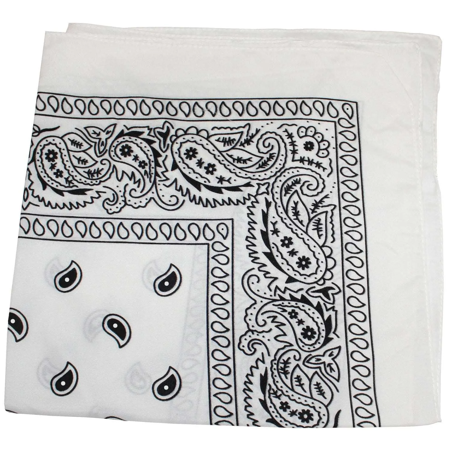 18 Pack 22 Inch Regular Size Polyester Paisley Bandanas