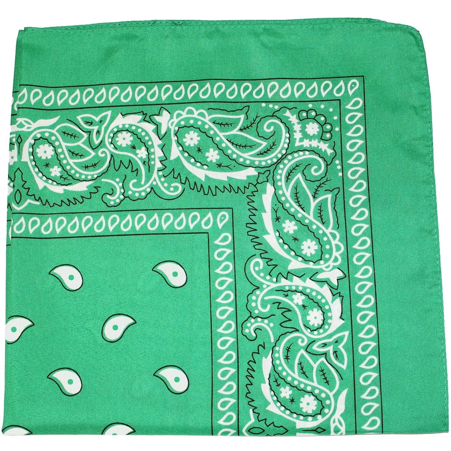 18 Pack 22 Inch Regular Size Polyester Paisley Bandanas