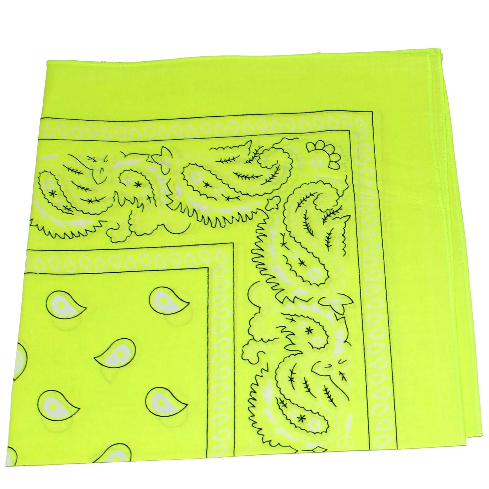 18 Pack 22 Inch Regular Size Polyester Paisley Bandanas