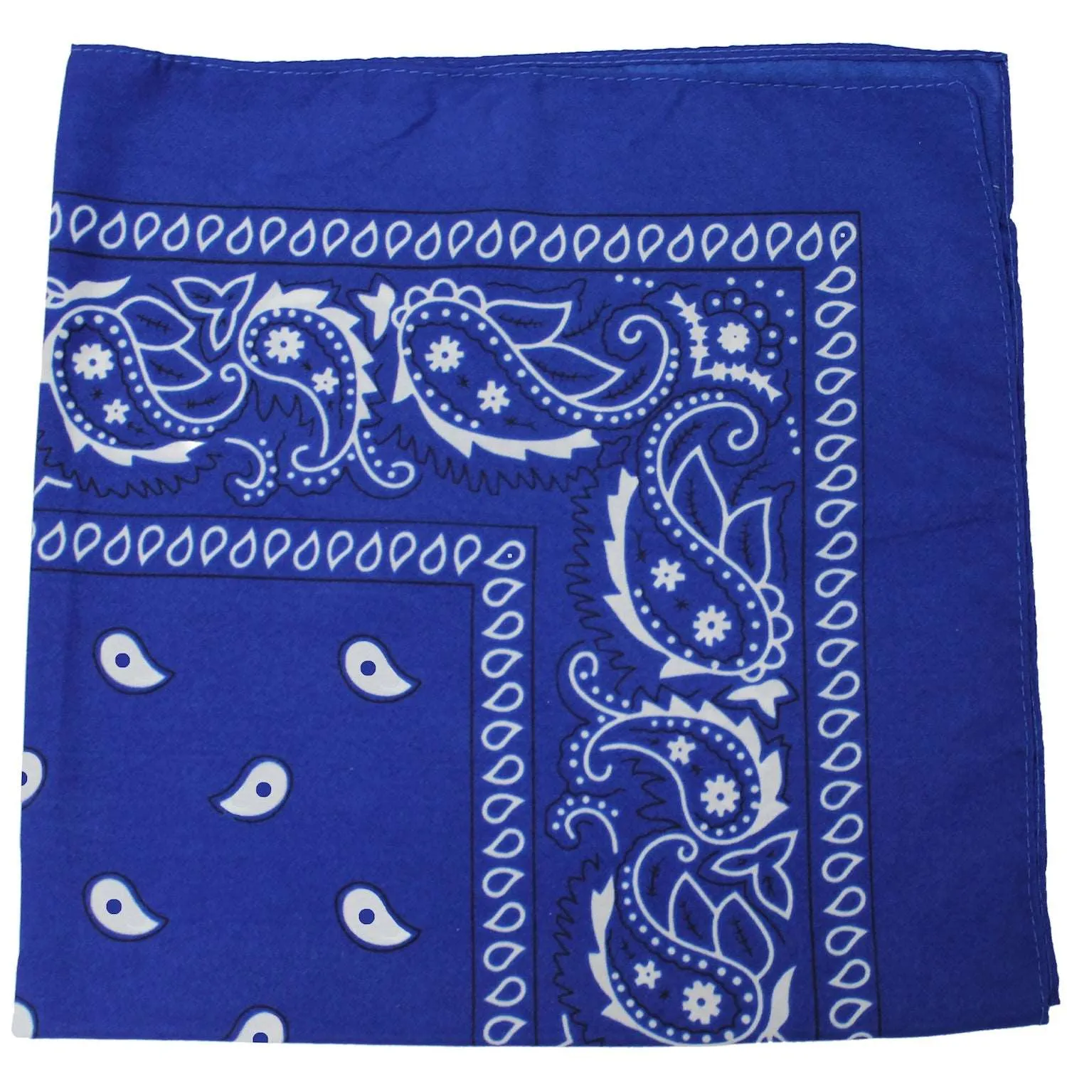 18 Pack 22 Inch Regular Size Polyester Paisley Bandanas