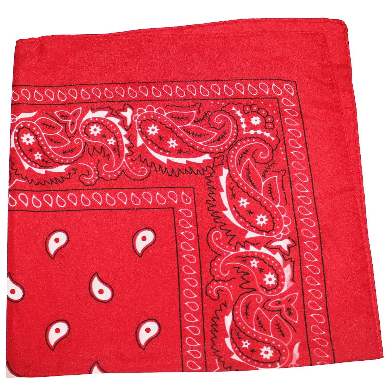 18 Pack 22 Inch Regular Size Polyester Paisley Bandanas