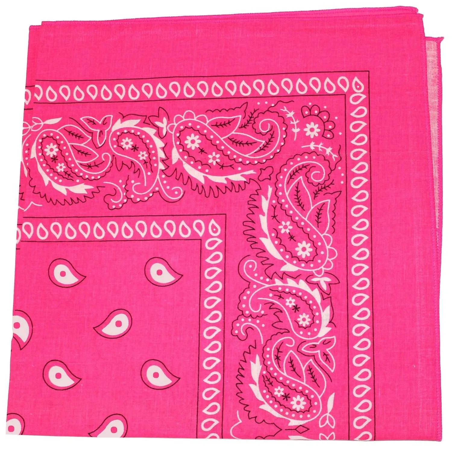 18 Pack 22 Inch Regular Size Polyester Paisley Bandanas