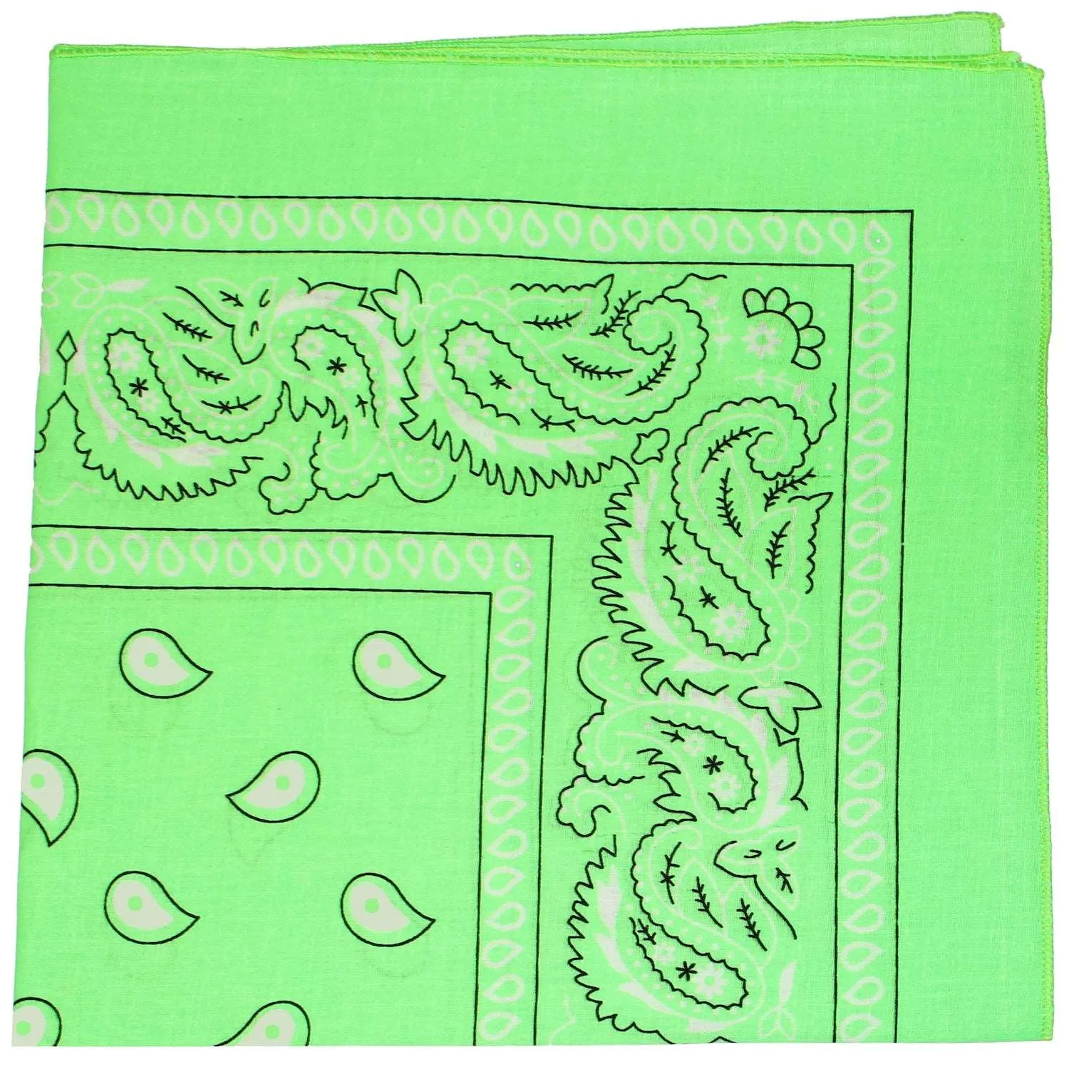 18 Pack 22 Inch Regular Size Polyester Paisley Bandanas