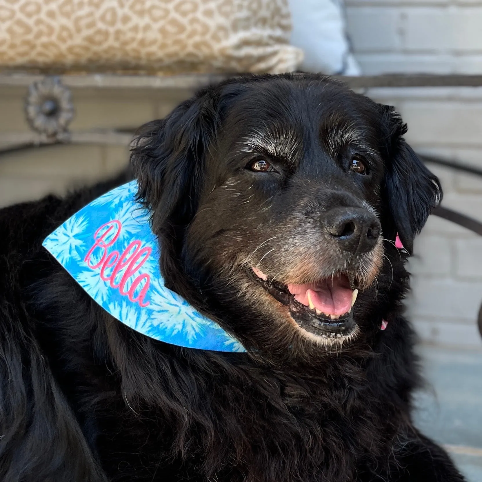 Palm Watercolor Floral Dog Bandanas with Personalization