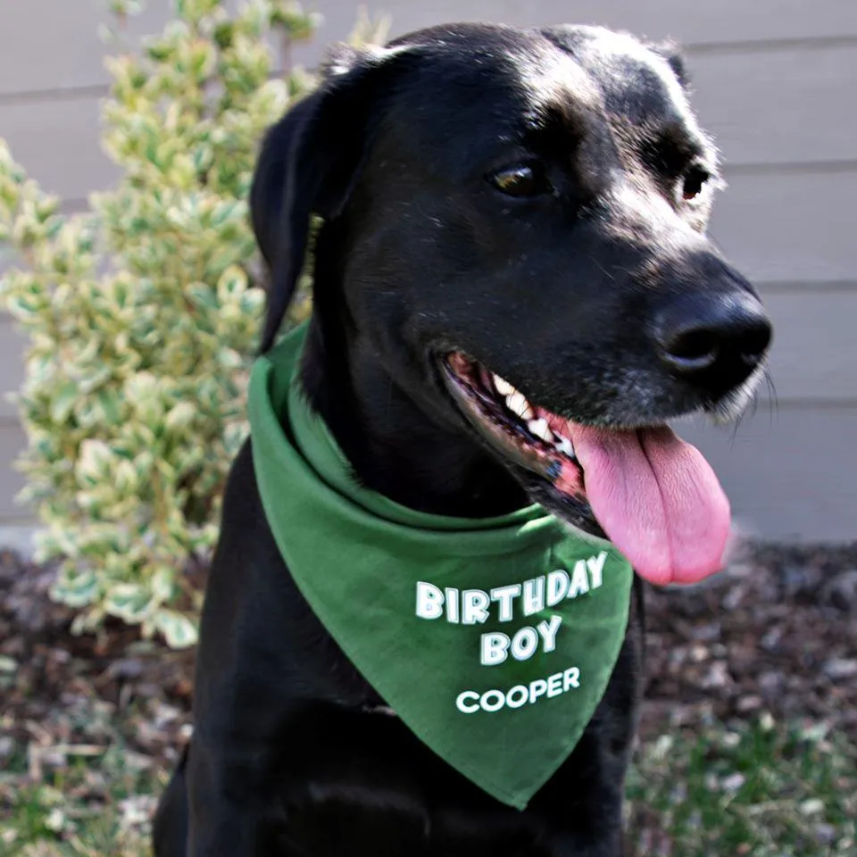 Personalized Dog Birthday Party Bandanas