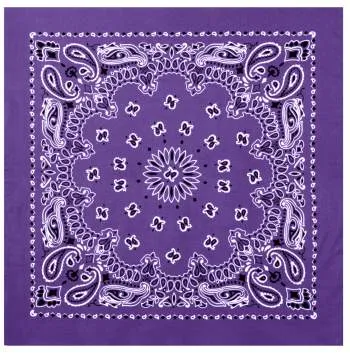 Trainmen Paisley Bandana – Extra-Large 27” X 27"
